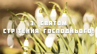 Привітання ЗІ СТРІТЕННЯМ ГОСПОДНІМ 2024 | Красива українська відео-листівка | Candlemas