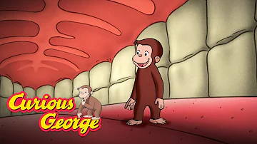 Curious George 🐵  George Learns About the Human Body 🐵  Kids Cartoon 🐵  Kids Movies