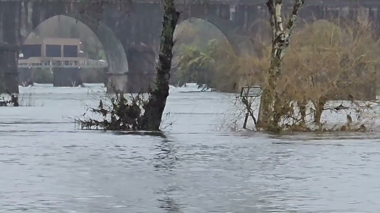 Rio Cavado e Rio Homem, Prado - Braga - Portugal