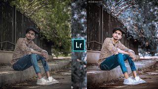 Brown and grey effect Lightroom photo editing//preset download free//