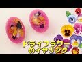 【ＵＶレジン】大人かわいい！ドライフラワーのイヤリング～　Dry Flower Earrings -UVresin-