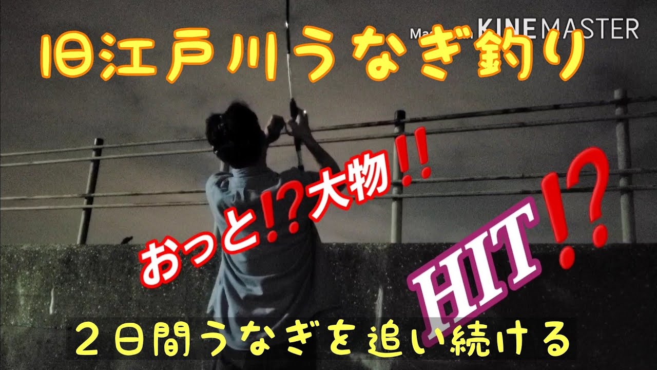 #1旧江戸川うなぎ釣り　蒲焼きへの道‼️五郎ひとりで2日間うなぎを追い続ける‼️その結末は如何に⁉️