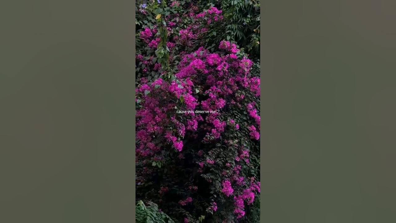 Co2 - Prateek Kuhad (lyrics) | Aesthetic Lyrical Video #youtubeshorts #aesthetic #co2 #shorts #viral Co2 - Prateek Kuhad (lyrics) | Aesthetic Lyrical Video #youtubeshorts #aesthetic #co2 #shorts #viral