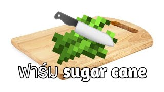 minecraft │ ฟาร์มอ้อย(sugar cane)