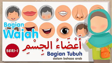 Learn body part names in Arabic - series 1 (face parts)