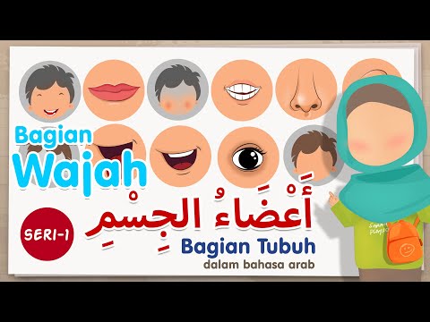 Belajar nama bagian tubuh dalam bahasa arab - seri 1 (bagian wajah)