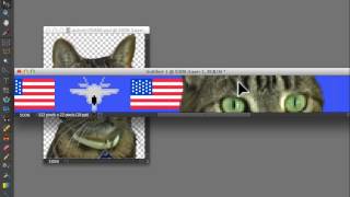 How to Design a Custom Needlepoint Belt