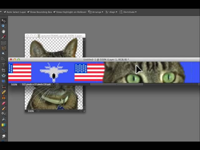 design your own needlepoint belt