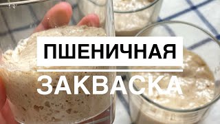 Пшеничная закваска