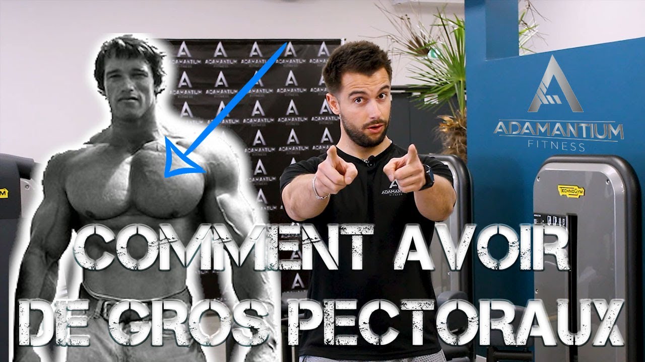 Comment avoir de gros pectoraux - YouTube