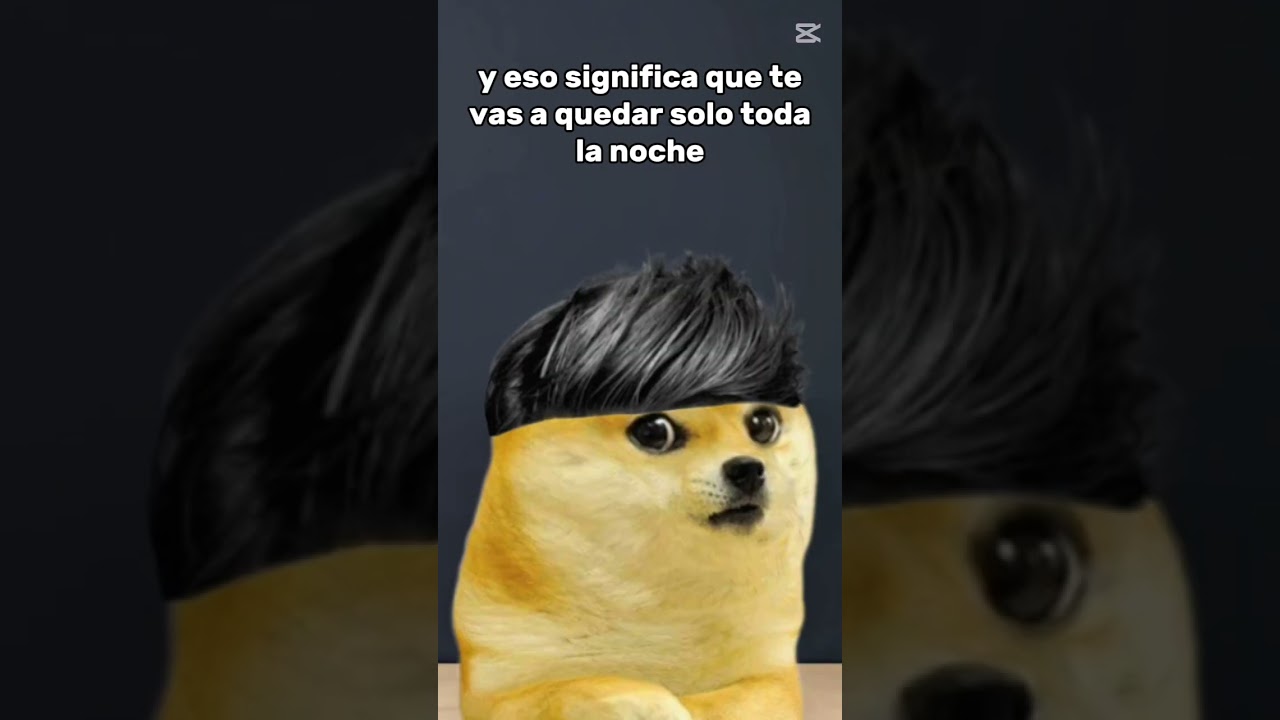 No debi ver Discovery Kids a las 3:17 AM 🌚/Hilos F/Void memes cheems/ 