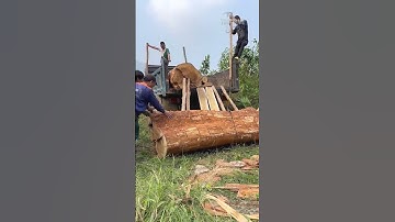 Unloading Logs Process #Woodworking #Machinery #Logs