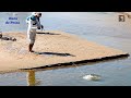 EL MEJOR cebo para PESCAR TILAPIAS  GRANDES. || Tilapia fishing in the river.