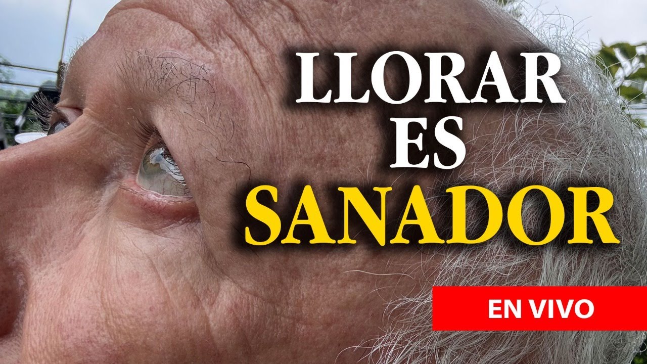 Lloro porque me da la gana-Reflexión