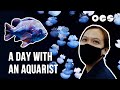 An Underwater Life: Exploring Southeast Asia’s Largest Aquarium with an Aquarist