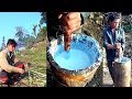 Natural Lifestyle of Herders in the jungle || Morning Activities of cowherds