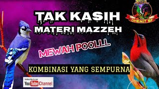 MASTERAN Burung, Materi Mewah Poolll ❗️Kombinasi Yang Sempurna