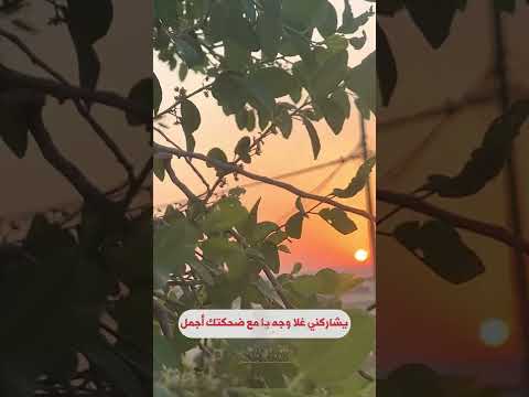 صباح الخير يا أجمل صباحاتي على الاطلاق