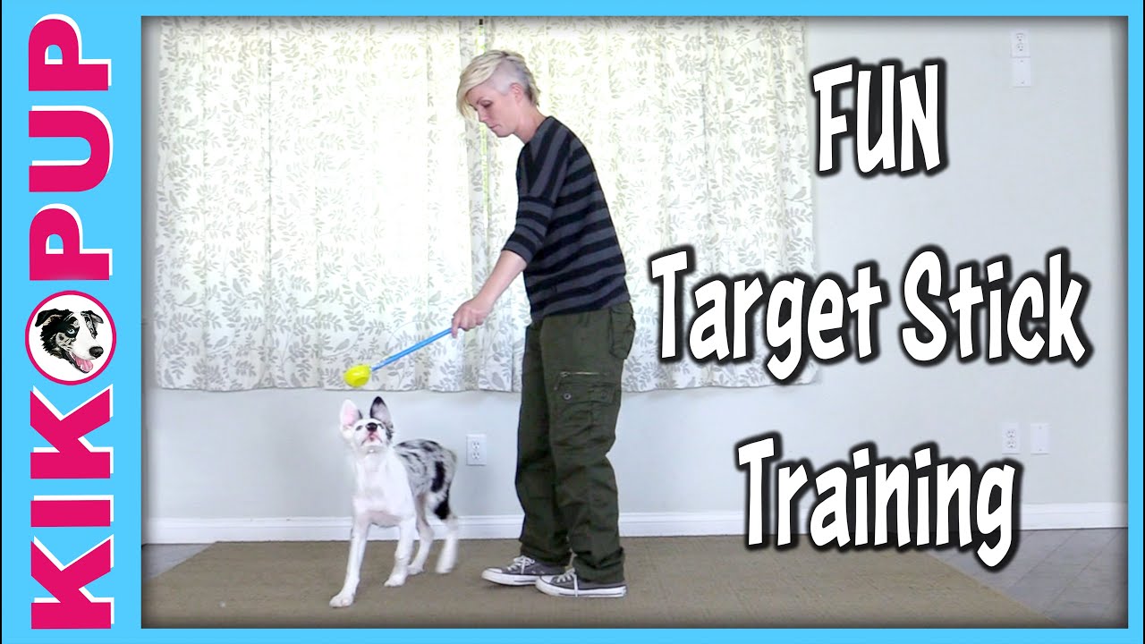 kom videre tirsdag Forventer Target Stick Training - YouTube