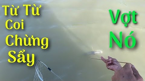 Mồi này đem giăng câu thì bá phát dính luôn cặp cá này mới đã nè | Cù Lao Dung Vlogs #122