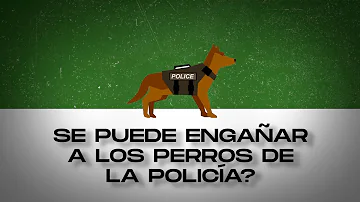 ¿Pueden oler las armas los perros de la policía militar?