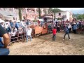 Video de San Pedro Teutila