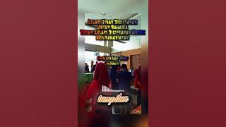 LELAKI TIDAK DICIPTAKAN UNTUK BAHAGIA Lagu Enak Versi Reggae 