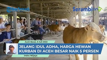 Jelang Idul Adha, Harga Hewan Kurban di Aceh Besar  Naik 5 Persen