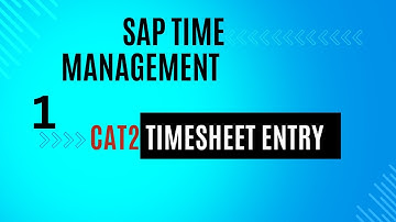 Time Sheet Management | How to Entry Time Sheet in SAP | and Check Leave | CAT2 and PT50