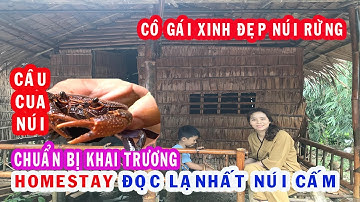 Cô gái xinh đẹp núi rừng chuẩn bị khai trương Homestay ĐỘC LẠ tại núi cấm | Nhat ky 365