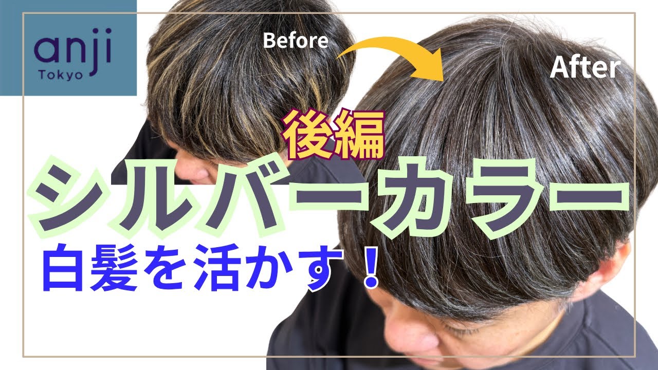 【後編・白髪ぼかしハイライトスモーキーグレイ】地毛を活かして染めるヘアカラー『地毛ハイライト』のライブセミナーを公開！〈シェアルーム〉〈メンズハイライト〉〈白髪を活かしたヘアカラー〉〈シルバーカラー〉
