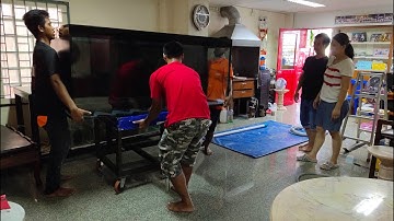 Chai ร้านทอง - วันปรุงโฉมตู้ปลา 72" งานสติกเกอร์ + เปลี่ยนโฟมและไม้อัด + ระบบ O4FS Set 2