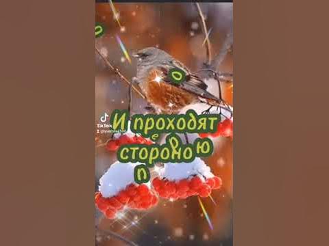 С добрым утром! С новым днём! Хорошего дня! 👍👍 - YouTube