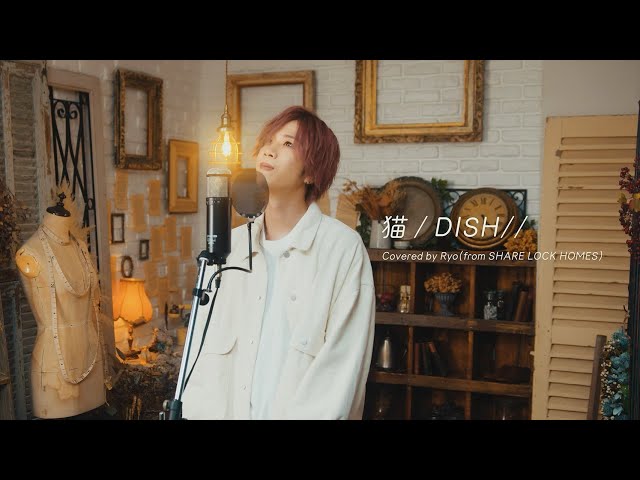 踊り手が『猫』歌ってみた ver.RYO - YouTube