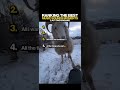 Ranking The Funniest Music Sounds (part 4) #funnyshorts