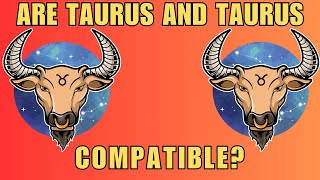 Taurus Taurus Compatibility