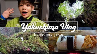 JAPAN VLOG 10. Walking tours to see the oldest tree in Yakushima, Kagoshima