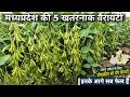 सोयाबीन की टॉप वैरायटी 2026🌱Madhya Pradesh Ki Best Soybean Variety | JS 2433, JS 2172, black bold