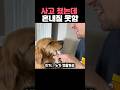 전선 끊어놓고 이 반응이면 못 혼냄ㅋㅋ #강아지 #강아지사고 #골든리트리버 #반려견 #댕댕이 #귀여운강아지 #dog #dogshorts #cutedog #doglover
