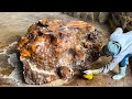 The Process Of Processing Wood From Giant Logs Is Extremely Interesting