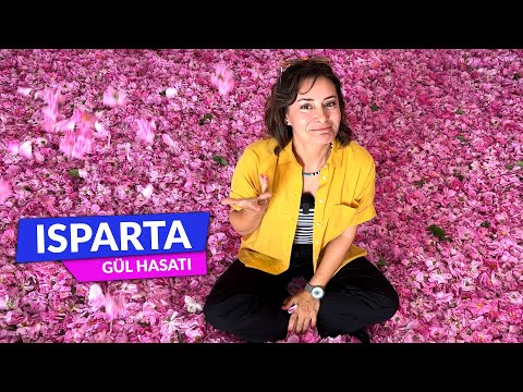 Isparta Gül Hasadı - Şenay Akkurt'la Hayat Bana Güzel
