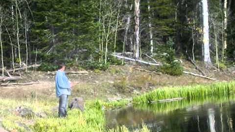 Thumbnail of Dr. Greenfinger - Fishing Song