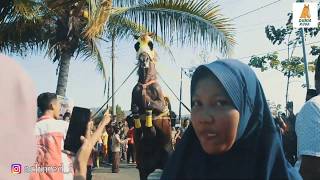 BELI KUDA DARI KECIL BUAT ATRAKSI CARI DUIT_TRADISI KIRAB KHATAMAN AL QUR'AN DI PURWOREJO