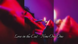 Love in the Cut - Nine One One 