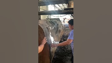 Lí do gỗ cẩm hồng được ưa chuộng đến vậy | Sơn Sập Gỗ