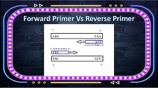 Forward Primer and Reverse Primer | CSIR NET LIFE SCIENCE | Best Trick