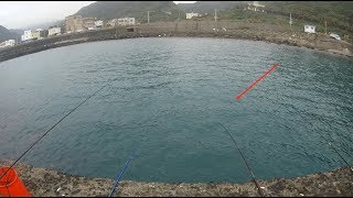 北海岸釣況分享2019 0314 [嘟嘟釣魚狂#16]