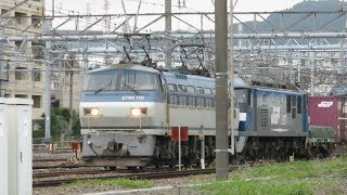 JR貨物・サメと桃太郎（Japan Freight Railway）
