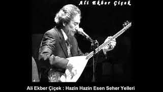 ALİ EKBER ÇİÇEK : HAZİN HAZİN ESEN SEHER YELLERİ Resimi