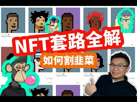 NFT套路全解， 另一种形式的山寨币大爆发， 如何把JPEG炒成天价，NFT中的比特币Cryptopunk， NFT DAO用韭菜钱割韭菜